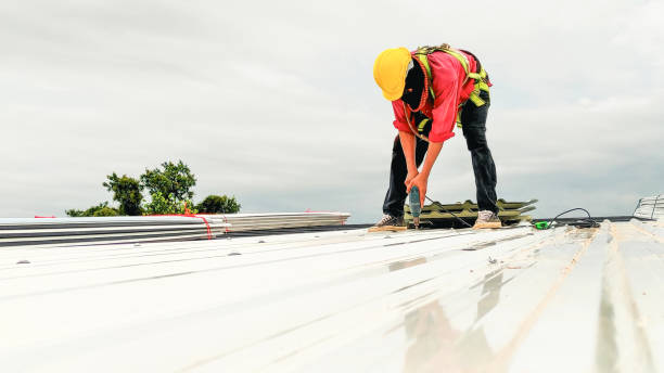 Best Gutter Replacement  in Lionville, PA